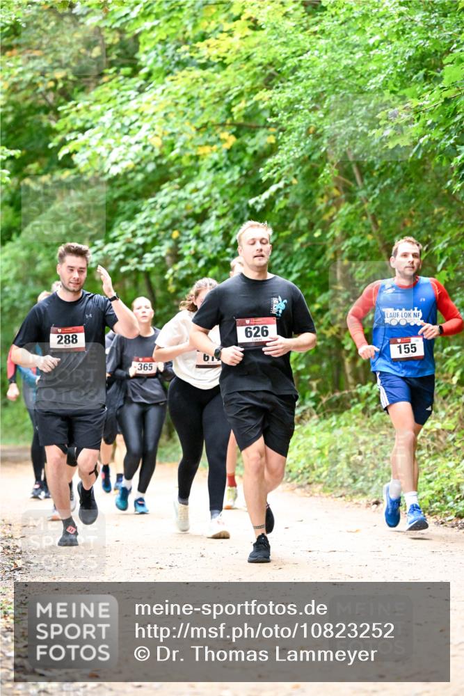 11.10.2026 - Bramfelder Halbmarathon 2026 Dr. Thomas Lammeyer http://msf.ph/oto/10823252 11.10.2026 10:37:51 Laufen 288, 365, 626, 155 meine-sportfotos.de