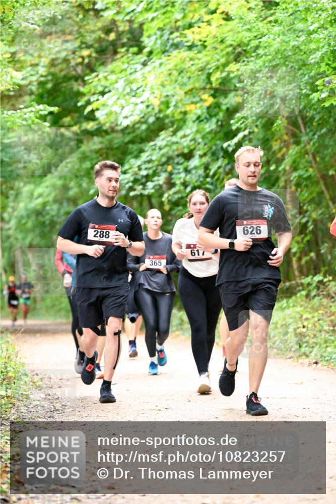 11.10.2026 - Bramfelder Halbmarathon 2026 Dr. Thomas Lammeyer http://msf.ph/oto/10823257 11.10.2026 10:37:51 Laufen 288, 365, 617, 626 meine-sportfotos.de