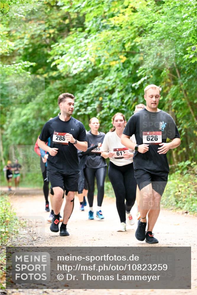 11.10.2026 - Bramfelder Halbmarathon 2026 Dr. Thomas Lammeyer http://msf.ph/oto/10823259 11.10.2026 10:37:51 Laufen 288, 65, 612, 626 meine-sportfotos.de