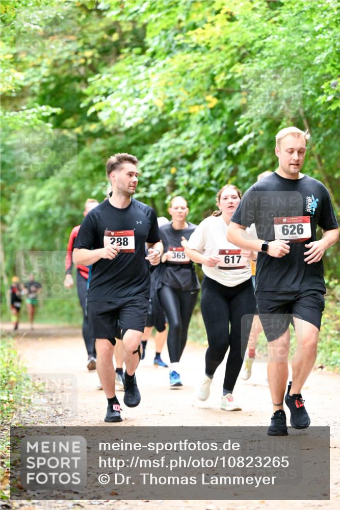 11.10.2026 - Bramfelder Halbmarathon 2026 Dr. Thomas Lammeyer http://msf.ph/oto/10823265 11.10.2026 10:37:52 Laufen 288, 365, 617, 626 meine-sportfotos.de