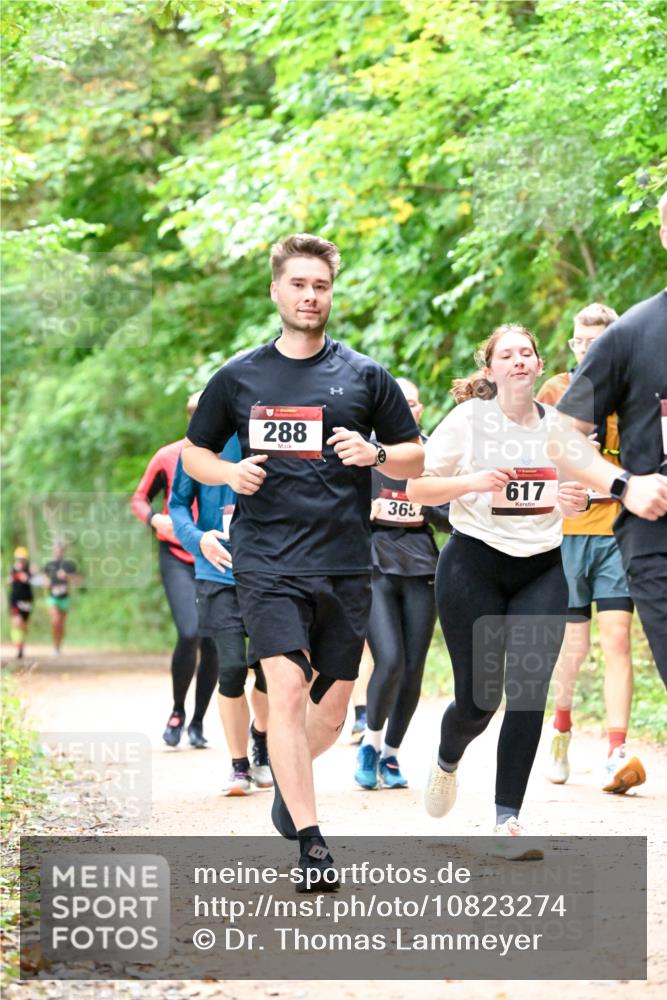 11.10.2026 - Bramfelder Halbmarathon 2026 Dr. Thomas Lammeyer http://msf.ph/oto/10823274 11.10.2026 10:37:52 Laufen 288, 365, 617 meine-sportfotos.de