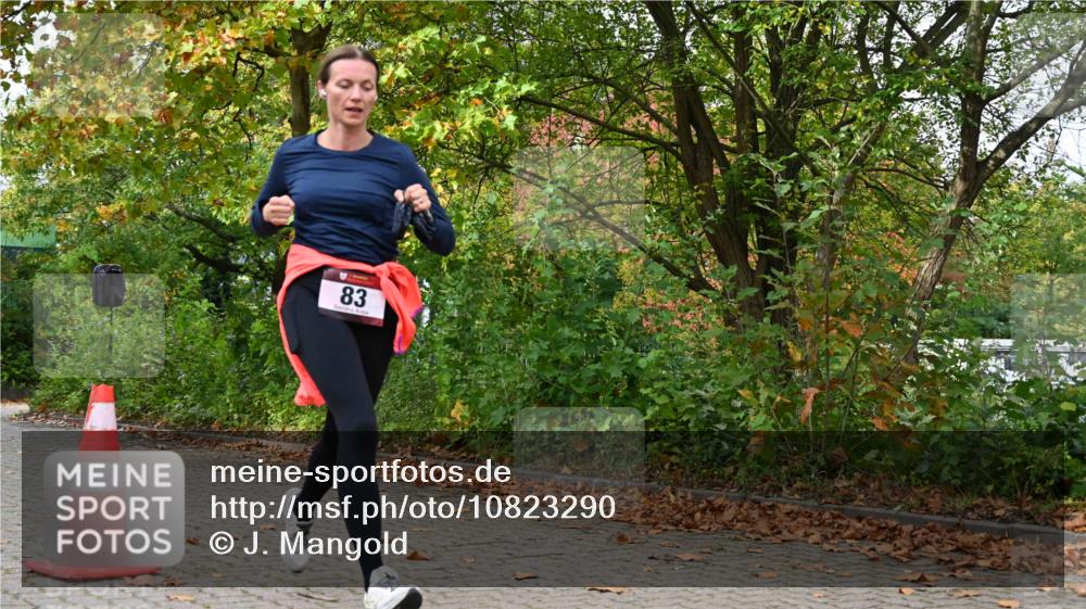 11.10.2026 - Bramfelder Halbmarathon 2026 J. Mangold http://msf.ph/oto/10823290 11.10.2026 10:31:37 Laufen 83 meine-sportfotos.de