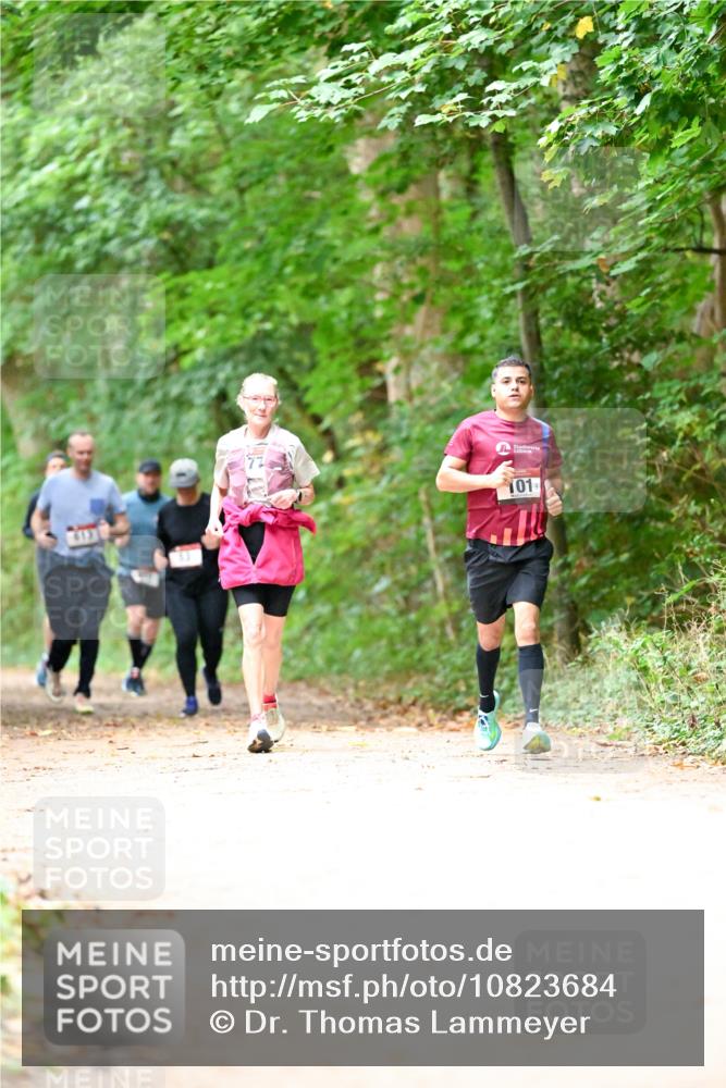 11.10.2026 - Bramfelder Halbmarathon 2026 Dr. Thomas Lammeyer http://msf.ph/oto/10823684 11.10.2026 10:39:22 Laufen 101 meine-sportfotos.de