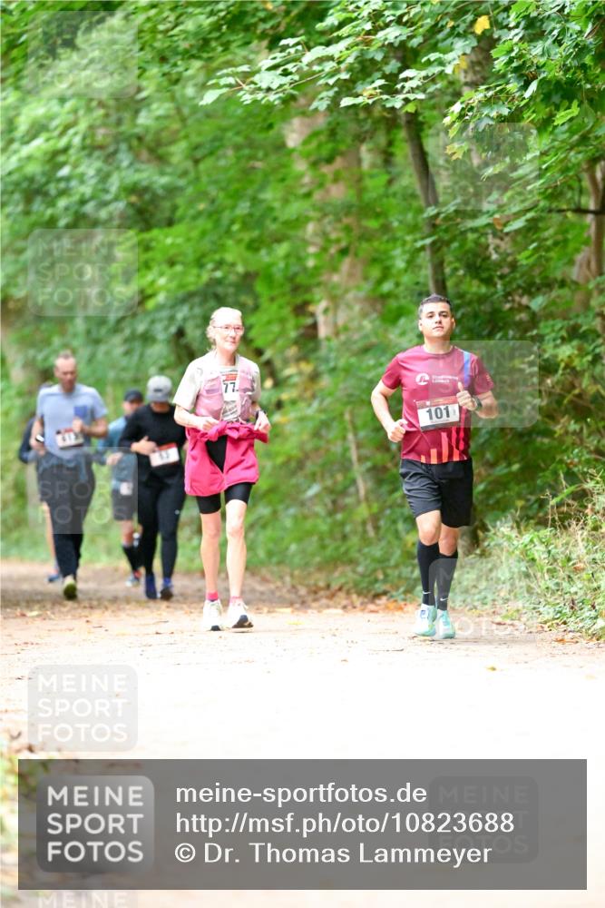 11.10.2026 - Bramfelder Halbmarathon 2026 Dr. Thomas Lammeyer http://msf.ph/oto/10823688 11.10.2026 10:39:22 Laufen 101 meine-sportfotos.de