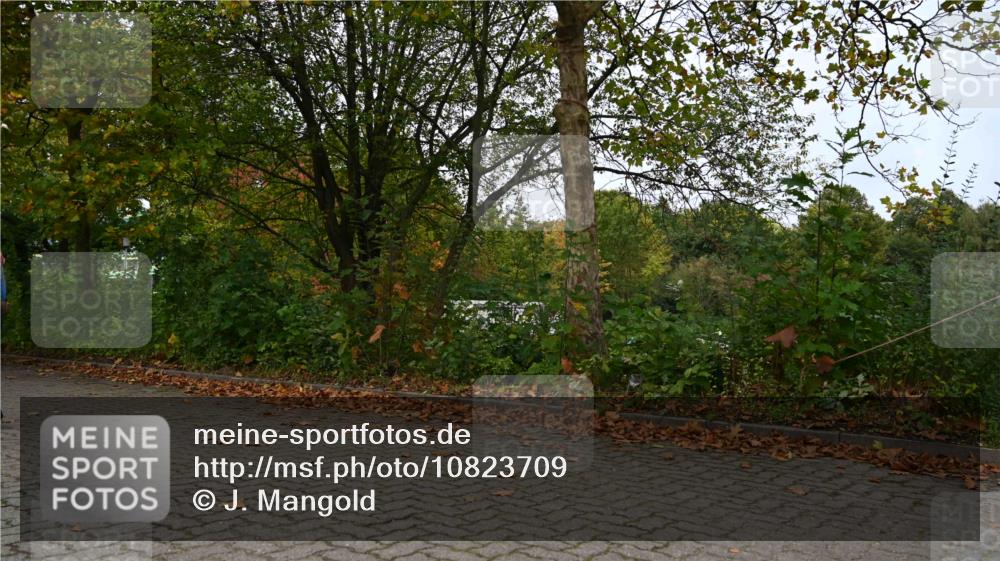 11.10.2026 - Bramfelder Halbmarathon 2026 J. Mangold http://msf.ph/oto/10823709 11.10.2026 10:34:22 Laufen 44, 303, 356, 439, 444, 822 meine-sportfotos.de