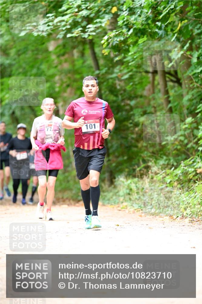 11.10.2026 - Bramfelder Halbmarathon 2026 Dr. Thomas Lammeyer http://msf.ph/oto/10823710 11.10.2026 10:39:24 Laufen 101 meine-sportfotos.de
