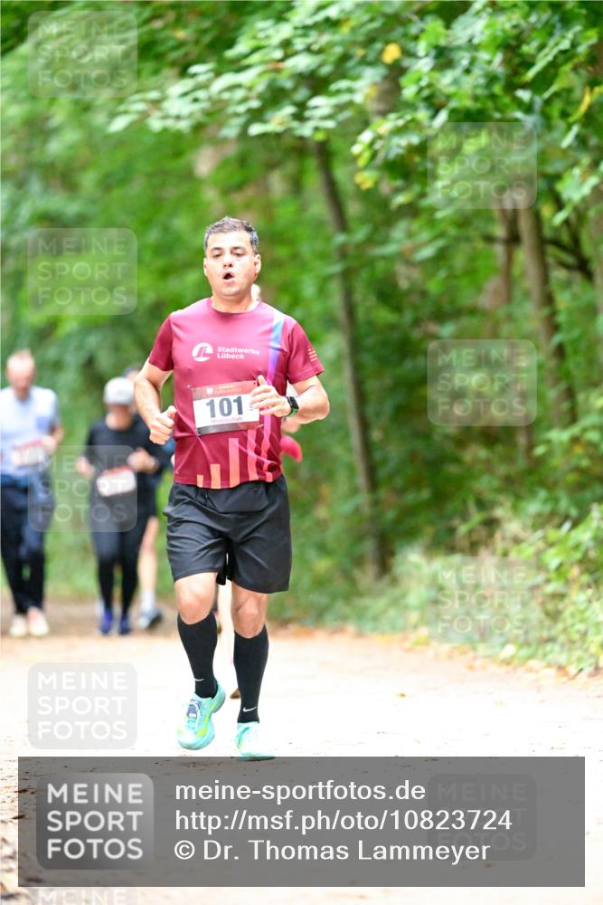 11.10.2026 - Bramfelder Halbmarathon 2026 Dr. Thomas Lammeyer http://msf.ph/oto/10823724 11.10.2026 10:39:25 Laufen 101 meine-sportfotos.de