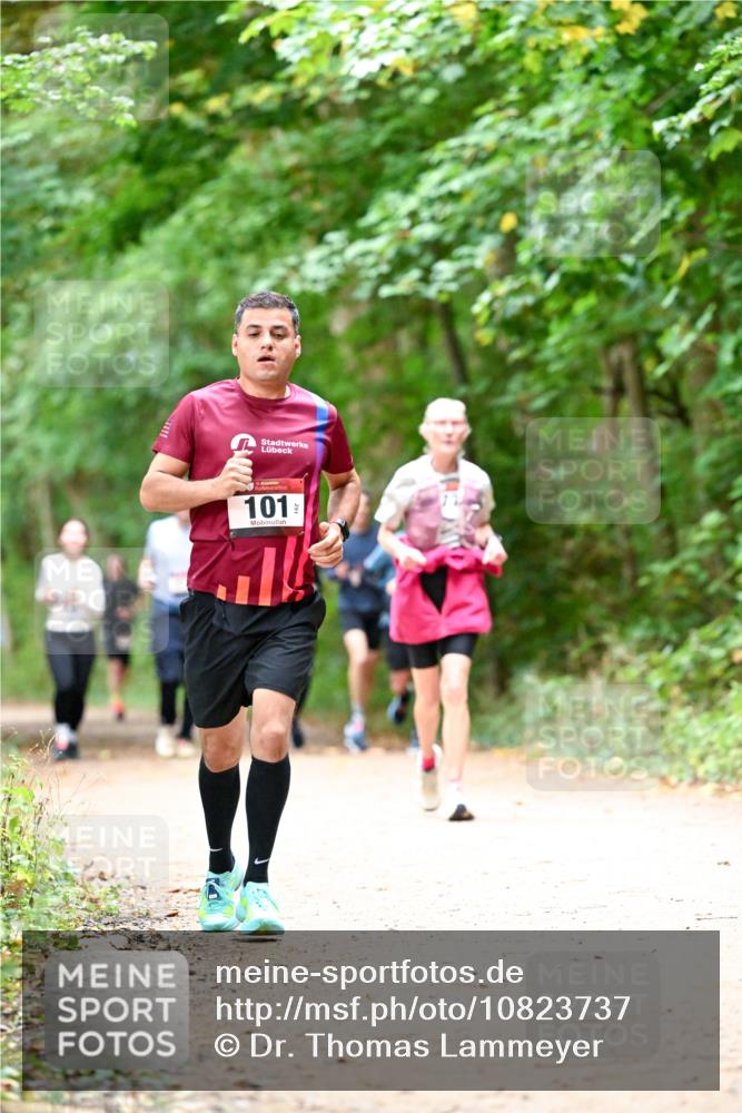 11.10.2026 - Bramfelder Halbmarathon 2026 Dr. Thomas Lammeyer http://msf.ph/oto/10823737 11.10.2026 10:39:26 Laufen 101 meine-sportfotos.de