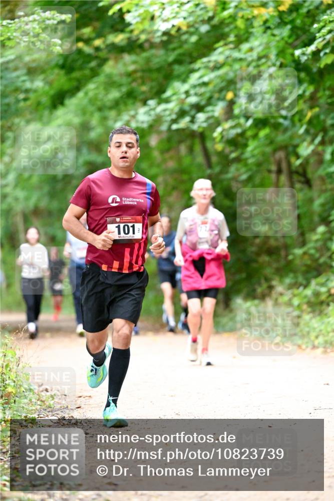 11.10.2026 - Bramfelder Halbmarathon 2026 Dr. Thomas Lammeyer http://msf.ph/oto/10823739 11.10.2026 10:39:26 Laufen 101, 77 meine-sportfotos.de
