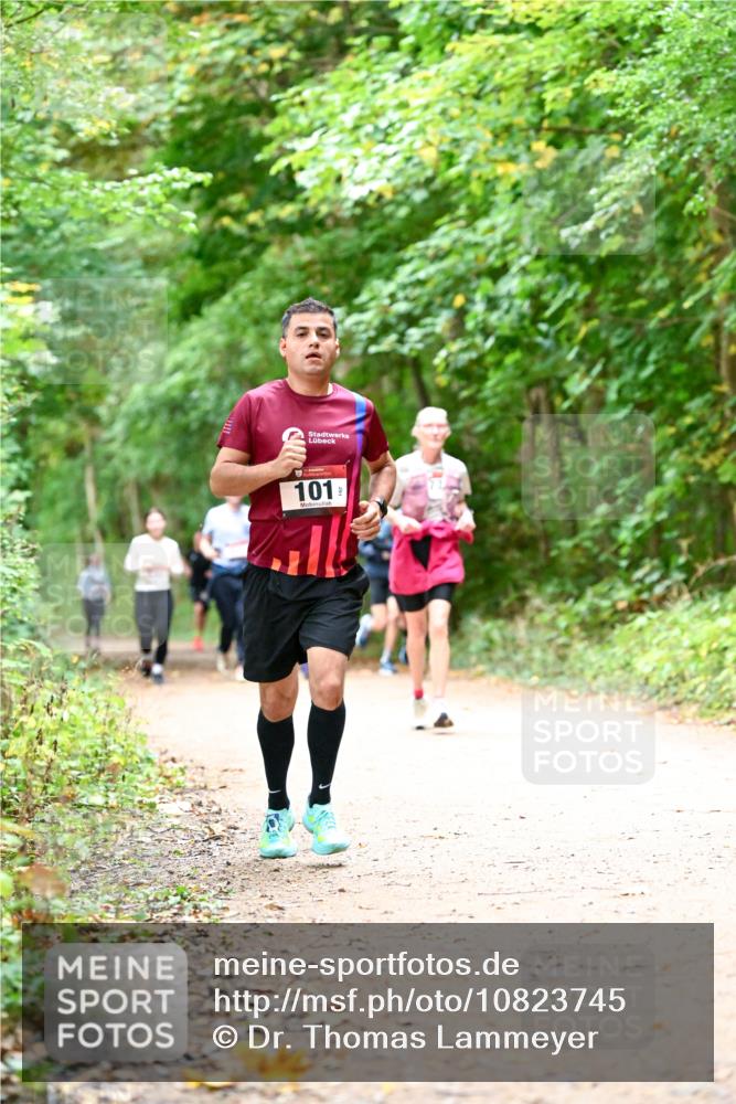 11.10.2026 - Bramfelder Halbmarathon 2026 Dr. Thomas Lammeyer http://msf.ph/oto/10823745 11.10.2026 10:39:27 Laufen 101 meine-sportfotos.de