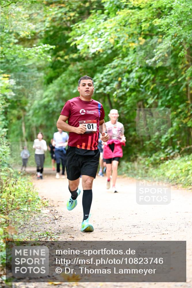 11.10.2026 - Bramfelder Halbmarathon 2026 Dr. Thomas Lammeyer http://msf.ph/oto/10823746 11.10.2026 10:39:27 Laufen 01 meine-sportfotos.de