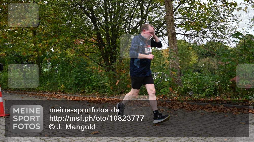 11.10.2026 - Bramfelder Halbmarathon 2026 J. Mangold http://msf.ph/oto/10823777 11.10.2026 10:35:03 Laufen 193, 441, 473 meine-sportfotos.de