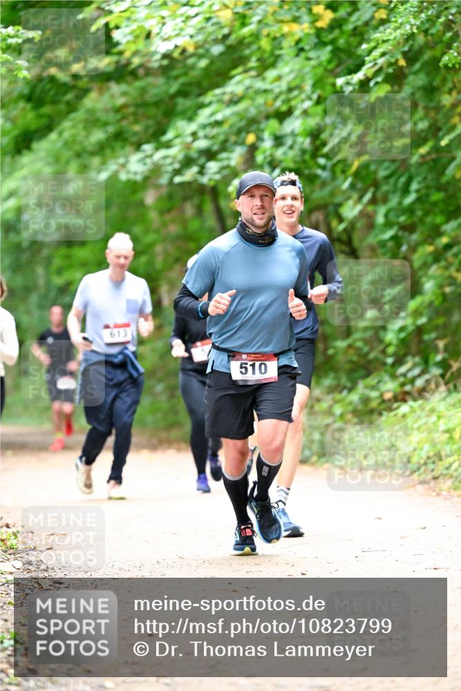 11.10.2026 - Bramfelder Halbmarathon 2026 Dr. Thomas Lammeyer http://msf.ph/oto/10823799 11.10.2026 10:39:31 Laufen 613, 510 meine-sportfotos.de