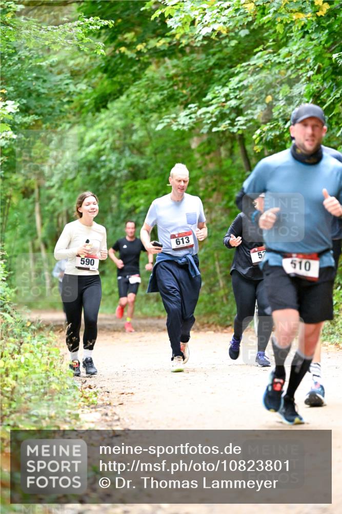11.10.2026 - Bramfelder Halbmarathon 2026 Dr. Thomas Lammeyer http://msf.ph/oto/10823801 11.10.2026 10:39:32 Laufen 590, 613, 5, 510 meine-sportfotos.de