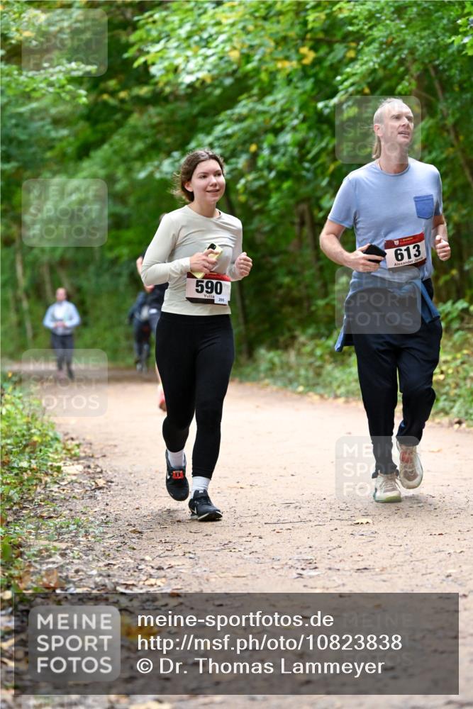 11.10.2026 - Bramfelder Halbmarathon 2026 Dr. Thomas Lammeyer http://msf.ph/oto/10823838 11.10.2026 10:39:36 Laufen 590, 295, 613 meine-sportfotos.de