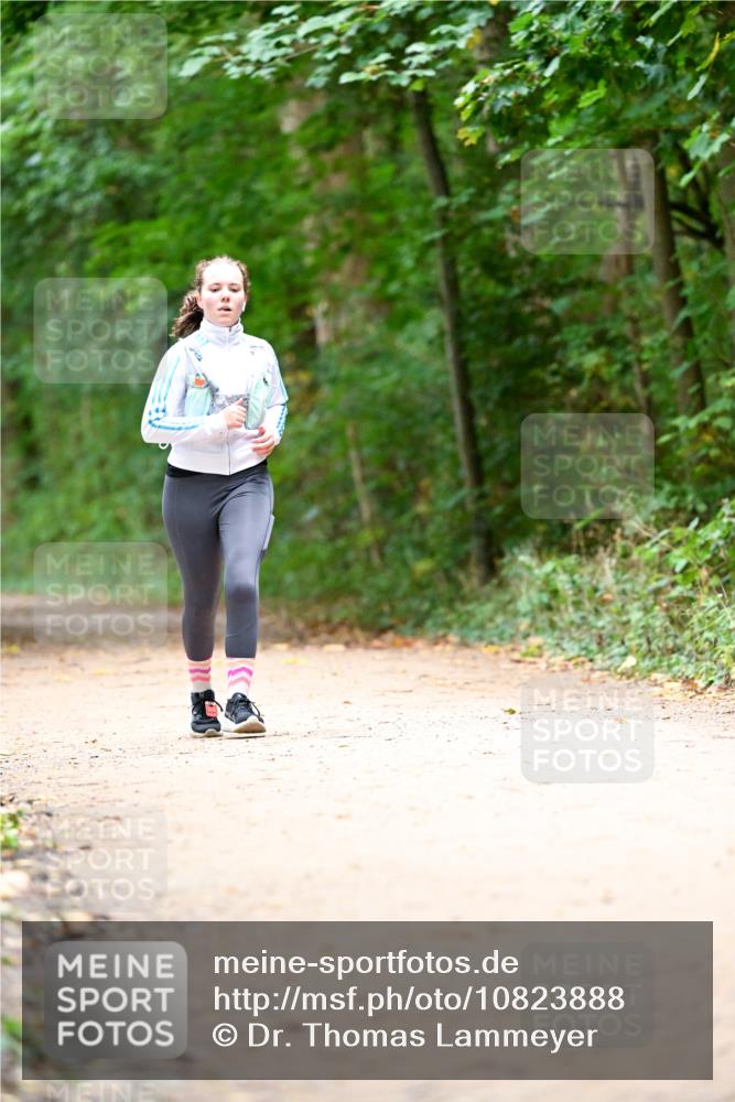 11.10.2026 - Bramfelder Halbmarathon 2026 Dr. Thomas Lammeyer http://msf.ph/oto/10823888 11.10.2026 10:39:42 Laufen  meine-sportfotos.de
