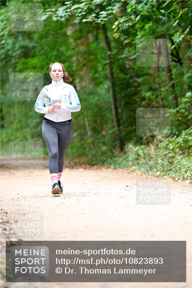 11.10.2026 - Bramfelder Halbmarathon 2026 Dr. Thomas Lammeyer http://msf.ph/oto/10823893 11.10.2026 10:39:42 Laufen  meine-sportfotos.de