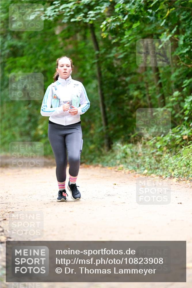 11.10.2026 - Bramfelder Halbmarathon 2026 Dr. Thomas Lammeyer http://msf.ph/oto/10823908 11.10.2026 10:39:43 Laufen  meine-sportfotos.de