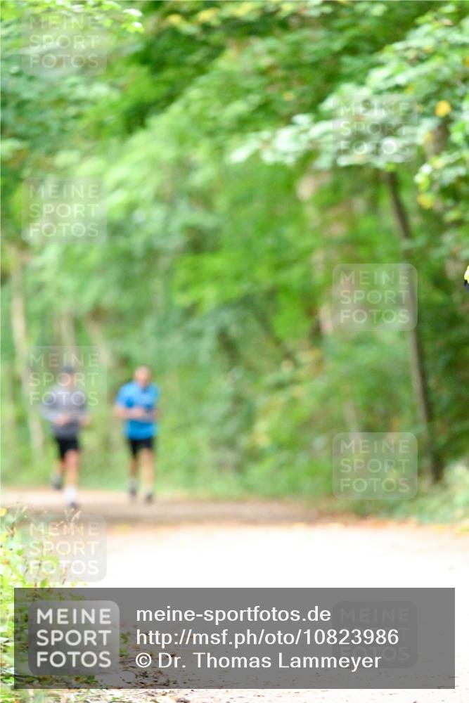 11.10.2026 - Bramfelder Halbmarathon 2026 Dr. Thomas Lammeyer http://msf.ph/oto/10823986 11.10.2026 10:39:58 Laufen  meine-sportfotos.de