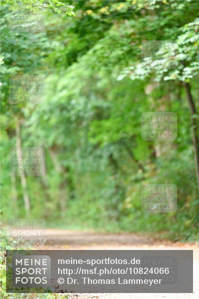 11.10.2026 - Bramfelder Halbmarathon 2026 Dr. Thomas Lammeyer http://msf.ph/oto/10824066 11.10.2026 10:40:09 Laufen  meine-sportfotos.de