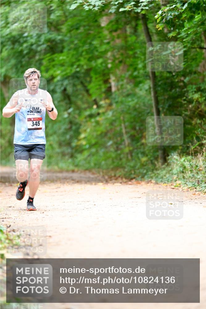 11.10.2026 - Bramfelder Halbmarathon 2026 Dr. Thomas Lammeyer http://msf.ph/oto/10824136 11.10.2026 10:41:29 Laufen 21, 345 meine-sportfotos.de
