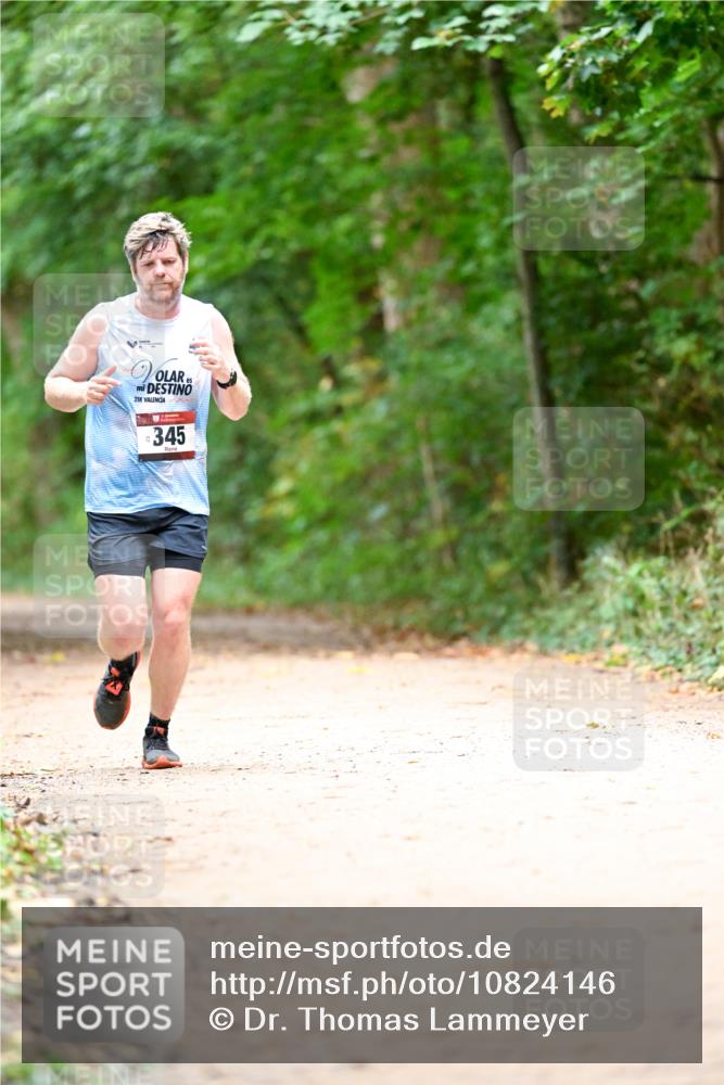 11.10.2026 - Bramfelder Halbmarathon 2026 Dr. Thomas Lammeyer http://msf.ph/oto/10824146 11.10.2026 10:41:30 Laufen 21, 345 meine-sportfotos.de