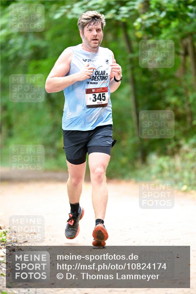 11.10.2026 - Bramfelder Halbmarathon 2026 Dr. Thomas Lammeyer http://msf.ph/oto/10824174 11.10.2026 10:41:32 Laufen 21, 35, 345 meine-sportfotos.de