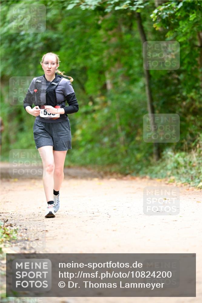 11.10.2026 - Bramfelder Halbmarathon 2026 Dr. Thomas Lammeyer http://msf.ph/oto/10824200 11.10.2026 10:41:40 Laufen 530 meine-sportfotos.de
