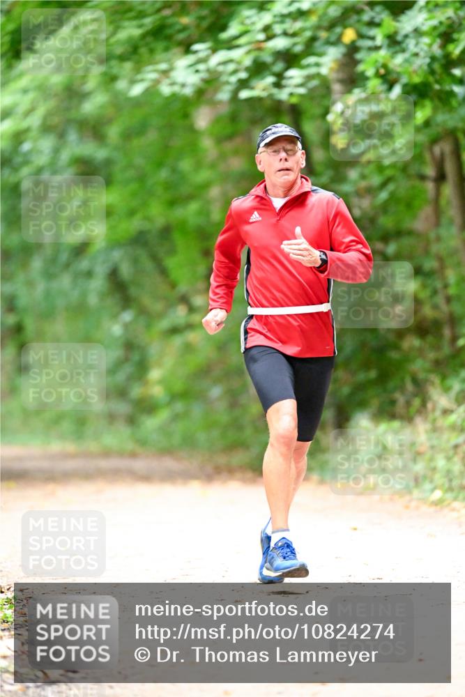 11.10.2026 - Bramfelder Halbmarathon 2026 Dr. Thomas Lammeyer http://msf.ph/oto/10824274 11.10.2026 10:41:54 Laufen  meine-sportfotos.de