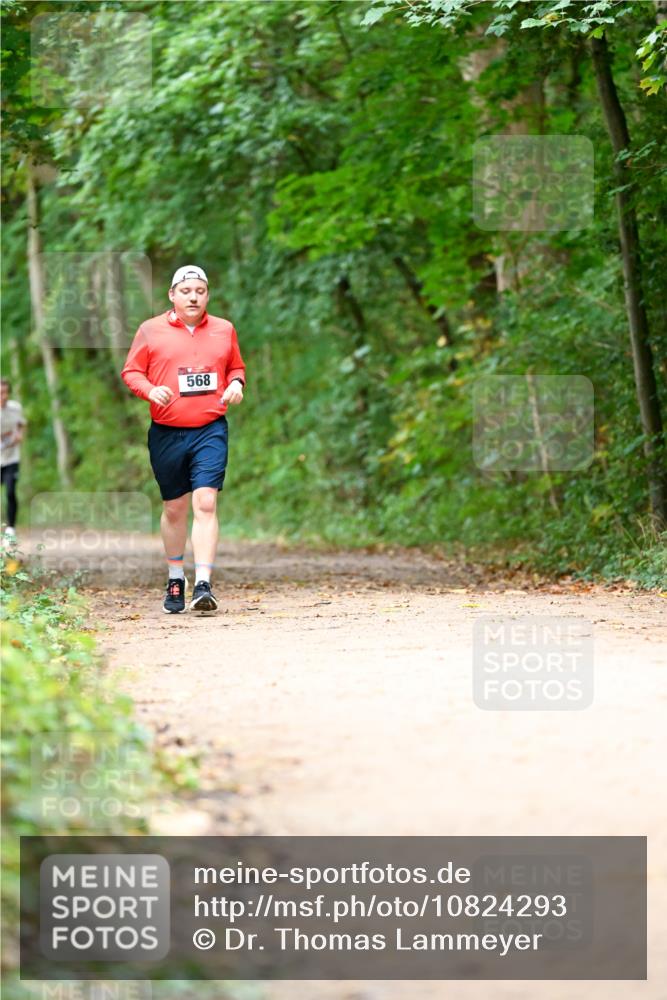 11.10.2026 - Bramfelder Halbmarathon 2026 Dr. Thomas Lammeyer http://msf.ph/oto/10824293 11.10.2026 10:42:06 Laufen 568 meine-sportfotos.de