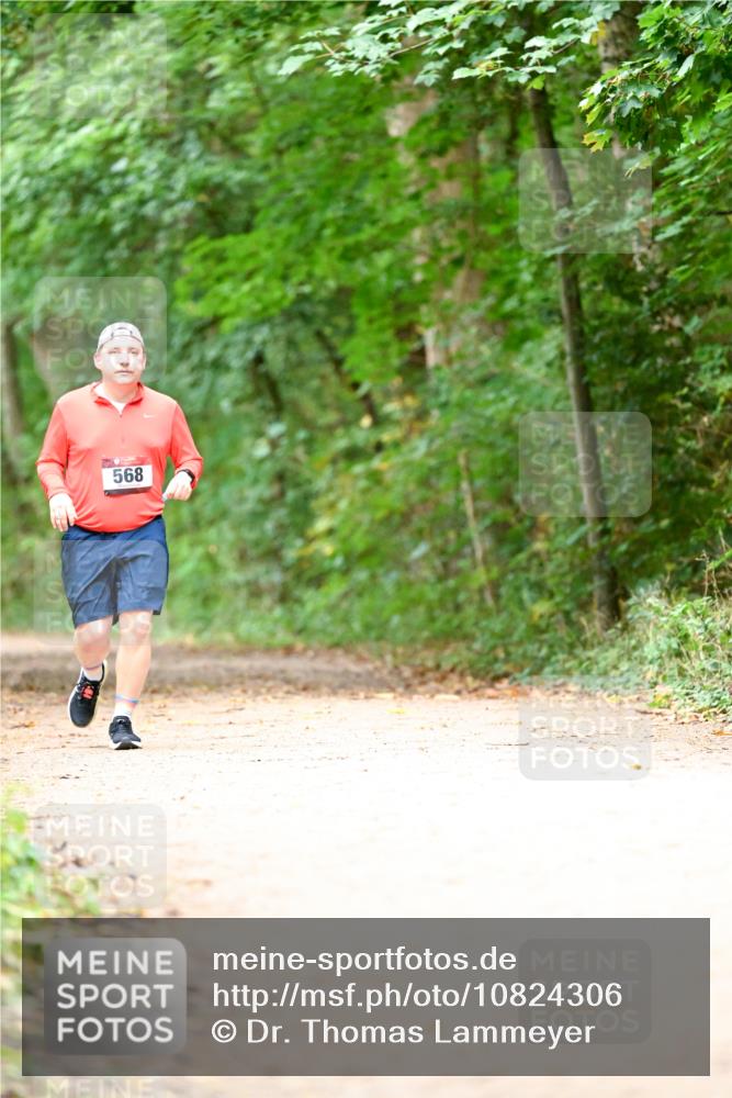 11.10.2026 - Bramfelder Halbmarathon 2026 Dr. Thomas Lammeyer http://msf.ph/oto/10824306 11.10.2026 10:42:08 Laufen 568 meine-sportfotos.de