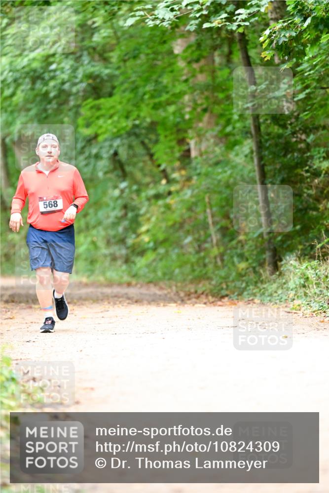 11.10.2026 - Bramfelder Halbmarathon 2026 Dr. Thomas Lammeyer http://msf.ph/oto/10824309 11.10.2026 10:42:09 Laufen 568 meine-sportfotos.de