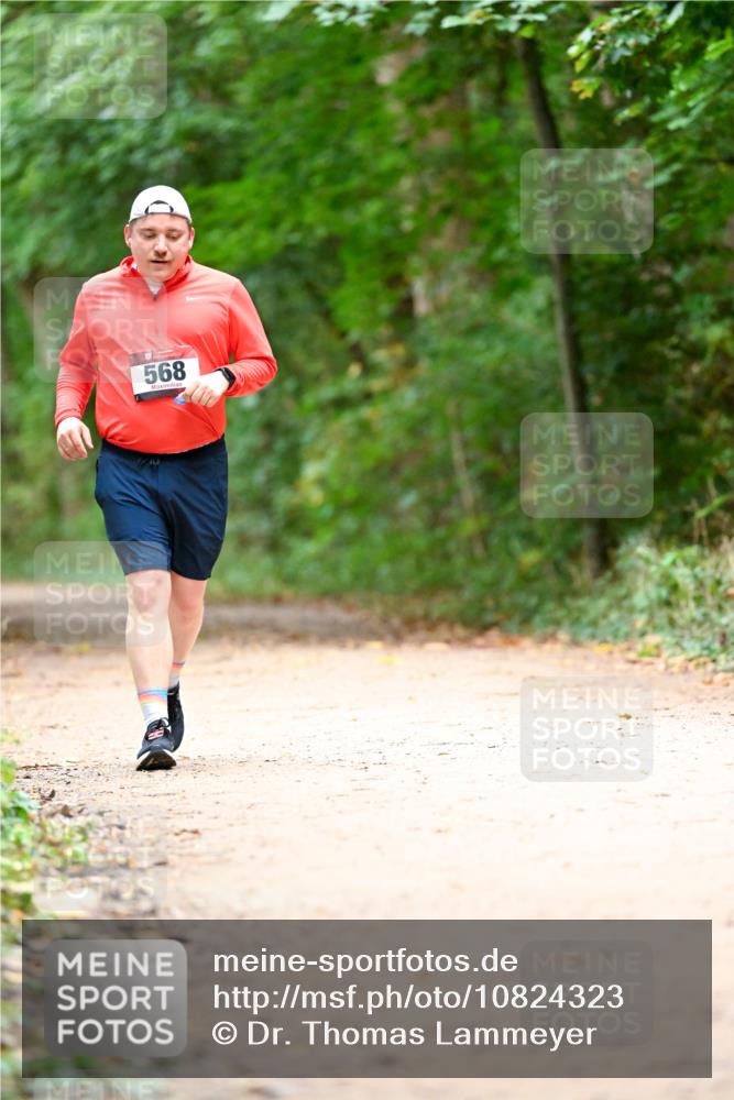 11.10.2026 - Bramfelder Halbmarathon 2026 Dr. Thomas Lammeyer http://msf.ph/oto/10824323 11.10.2026 10:42:11 Laufen 568 meine-sportfotos.de