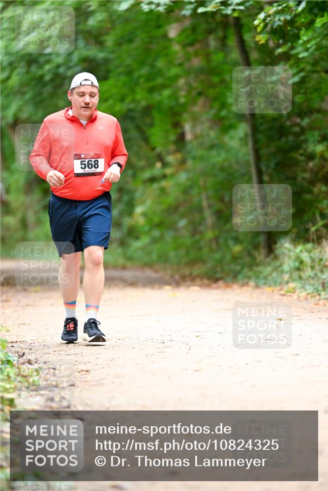 11.10.2026 - Bramfelder Halbmarathon 2026 Dr. Thomas Lammeyer http://msf.ph/oto/10824325 11.10.2026 10:42:11 Laufen 568 meine-sportfotos.de