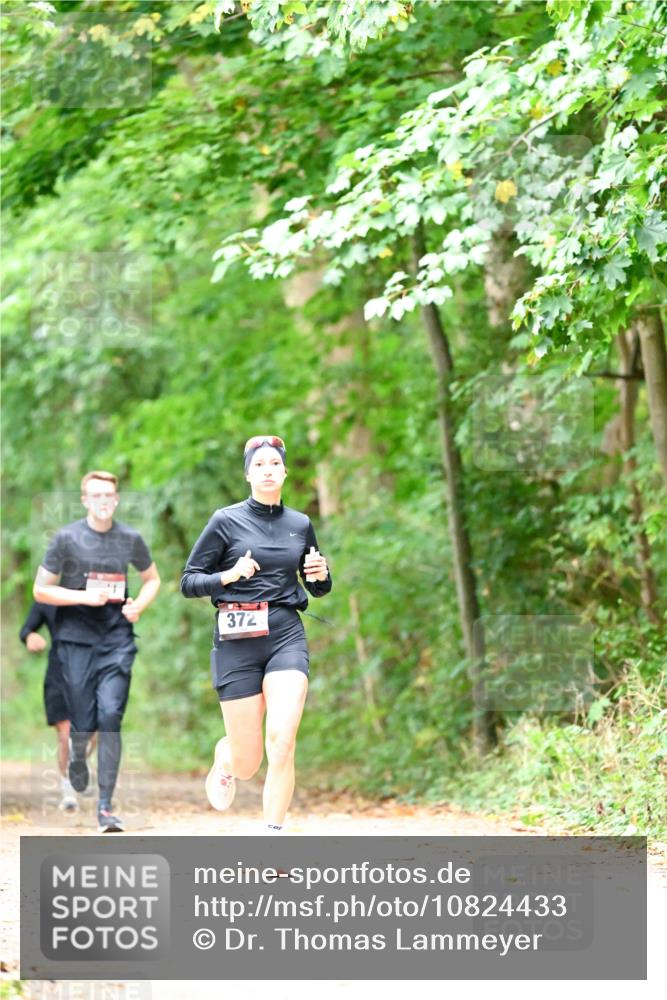 11.10.2026 - Bramfelder Halbmarathon 2026 Dr. Thomas Lammeyer http://msf.ph/oto/10824433 11.10.2026 10:42:55 Laufen 372 meine-sportfotos.de