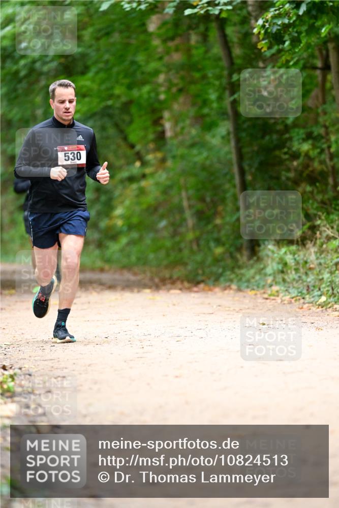11.10.2026 - Bramfelder Halbmarathon 2026 Dr. Thomas Lammeyer http://msf.ph/oto/10824513 11.10.2026 10:43:21 Laufen 530 meine-sportfotos.de