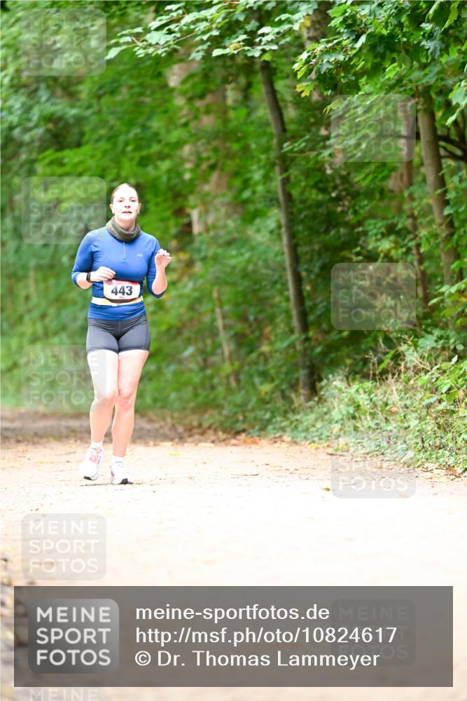 11.10.2026 - Bramfelder Halbmarathon 2026 Dr. Thomas Lammeyer http://msf.ph/oto/10824617 11.10.2026 10:44:01 Laufen 443 meine-sportfotos.de