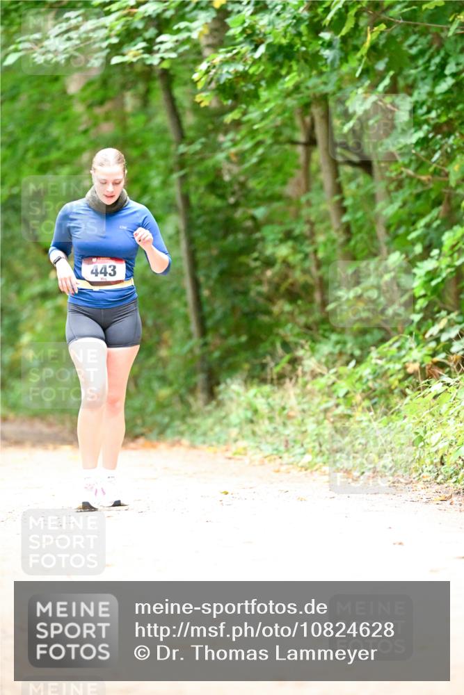11.10.2026 - Bramfelder Halbmarathon 2026 Dr. Thomas Lammeyer http://msf.ph/oto/10824628 11.10.2026 10:44:03 Laufen 443 meine-sportfotos.de