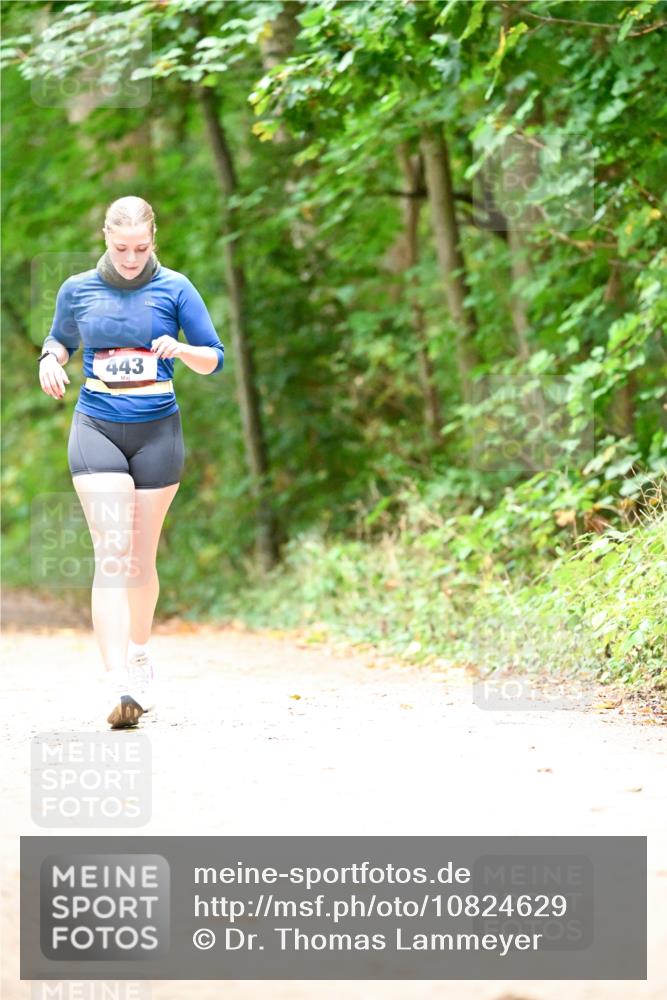 11.10.2026 - Bramfelder Halbmarathon 2026 Dr. Thomas Lammeyer http://msf.ph/oto/10824629 11.10.2026 10:44:03 Laufen 443 meine-sportfotos.de