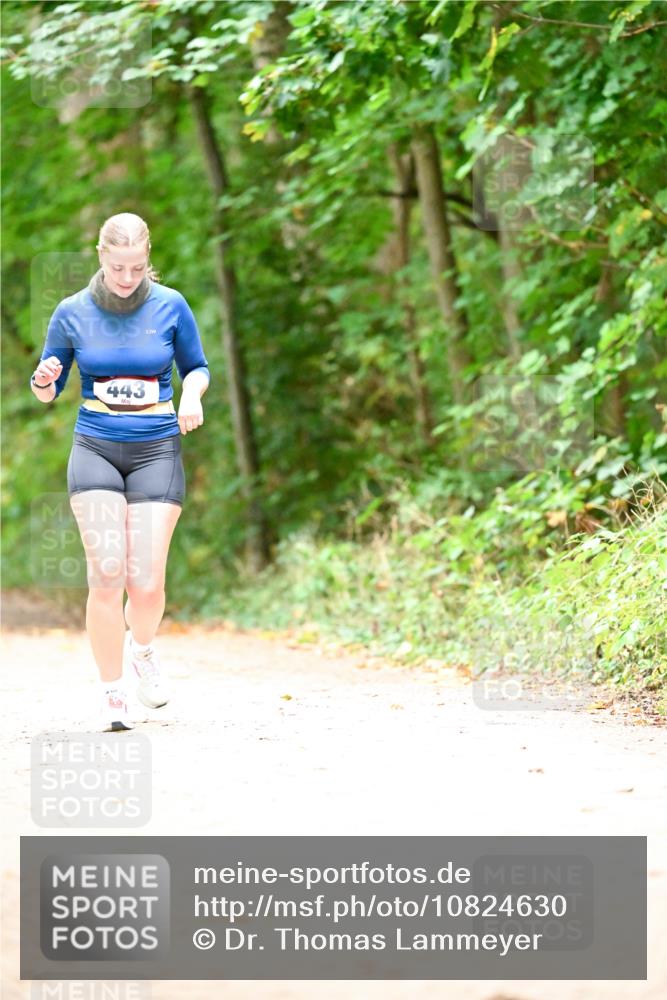 11.10.2026 - Bramfelder Halbmarathon 2026 Dr. Thomas Lammeyer http://msf.ph/oto/10824630 11.10.2026 10:44:03 Laufen 443 meine-sportfotos.de