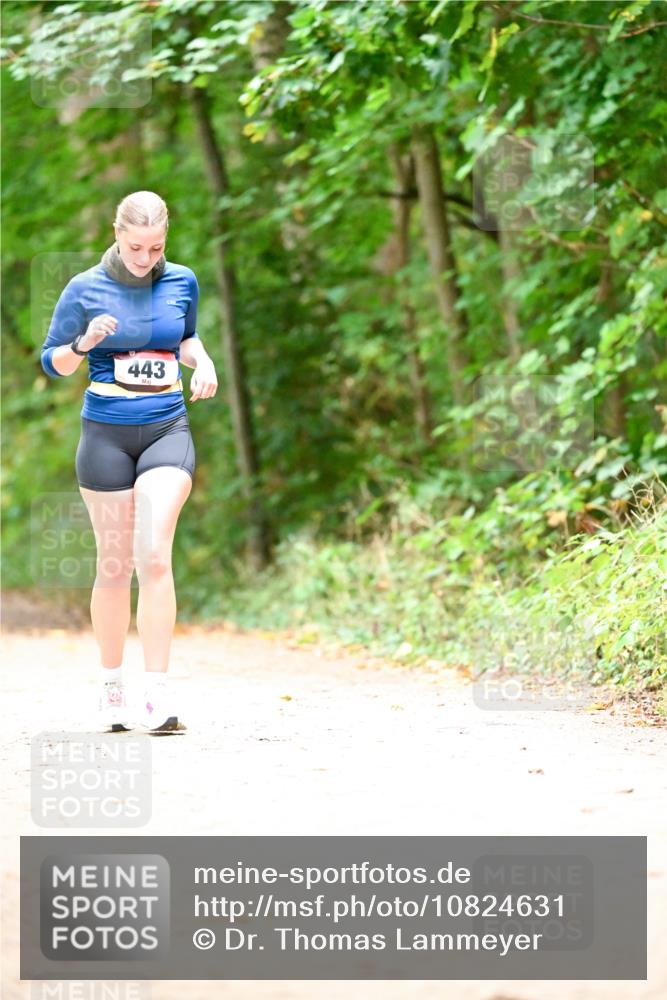 11.10.2026 - Bramfelder Halbmarathon 2026 Dr. Thomas Lammeyer http://msf.ph/oto/10824631 11.10.2026 10:44:03 Laufen 443 meine-sportfotos.de