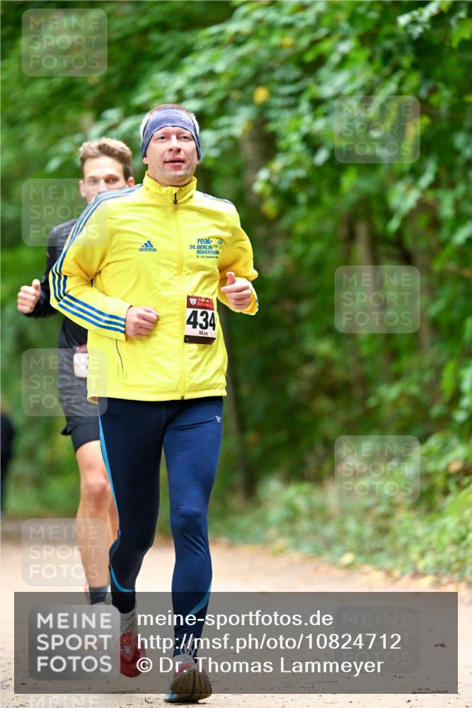 11.10.2026 - Bramfelder Halbmarathon 2026 Dr. Thomas Lammeyer http://msf.ph/oto/10824712 11.10.2026 10:44:46 Laufen 36, 434 meine-sportfotos.de