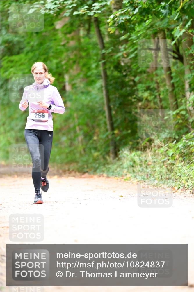 11.10.2026 - Bramfelder Halbmarathon 2026 Dr. Thomas Lammeyer http://msf.ph/oto/10824837 11.10.2026 10:45:46 Laufen 266 meine-sportfotos.de