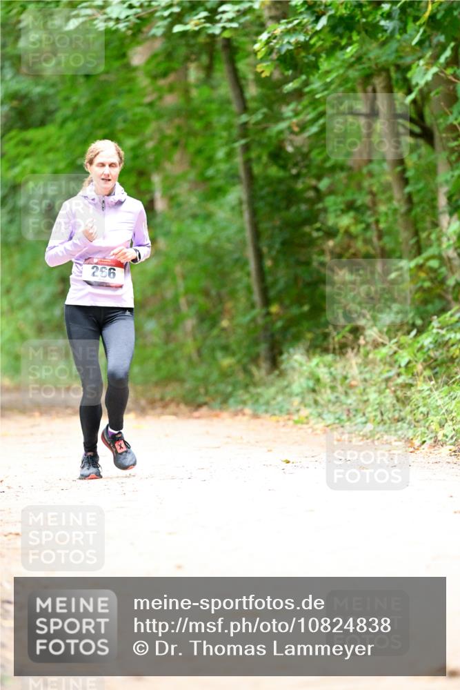 11.10.2026 - Bramfelder Halbmarathon 2026 Dr. Thomas Lammeyer http://msf.ph/oto/10824838 11.10.2026 10:45:46 Laufen 266 meine-sportfotos.de