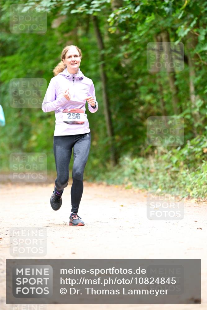 11.10.2026 - Bramfelder Halbmarathon 2026 Dr. Thomas Lammeyer http://msf.ph/oto/10824845 11.10.2026 10:45:47 Laufen 266 meine-sportfotos.de