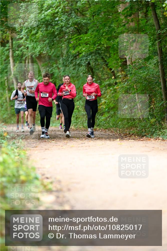 11.10.2026 - Bramfelder Halbmarathon 2026 Dr. Thomas Lammeyer http://msf.ph/oto/10825017 11.10.2026 10:47:13 Laufen 769, 788, 270, 360, 323 meine-sportfotos.de