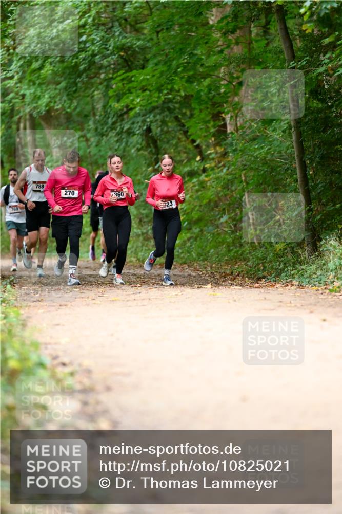 11.10.2026 - Bramfelder Halbmarathon 2026 Dr. Thomas Lammeyer http://msf.ph/oto/10825021 11.10.2026 10:47:13 Laufen 769, 788, 270, 360, 23 meine-sportfotos.de