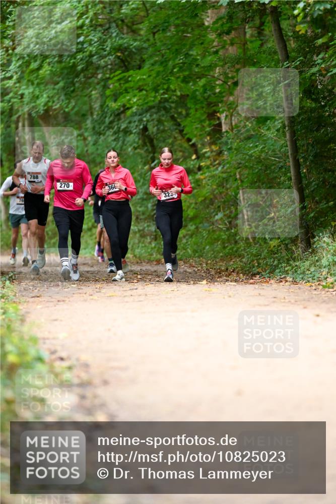 11.10.2026 - Bramfelder Halbmarathon 2026 Dr. Thomas Lammeyer http://msf.ph/oto/10825023 11.10.2026 10:47:13 Laufen 30, 788, 270, 366, 325 meine-sportfotos.de
