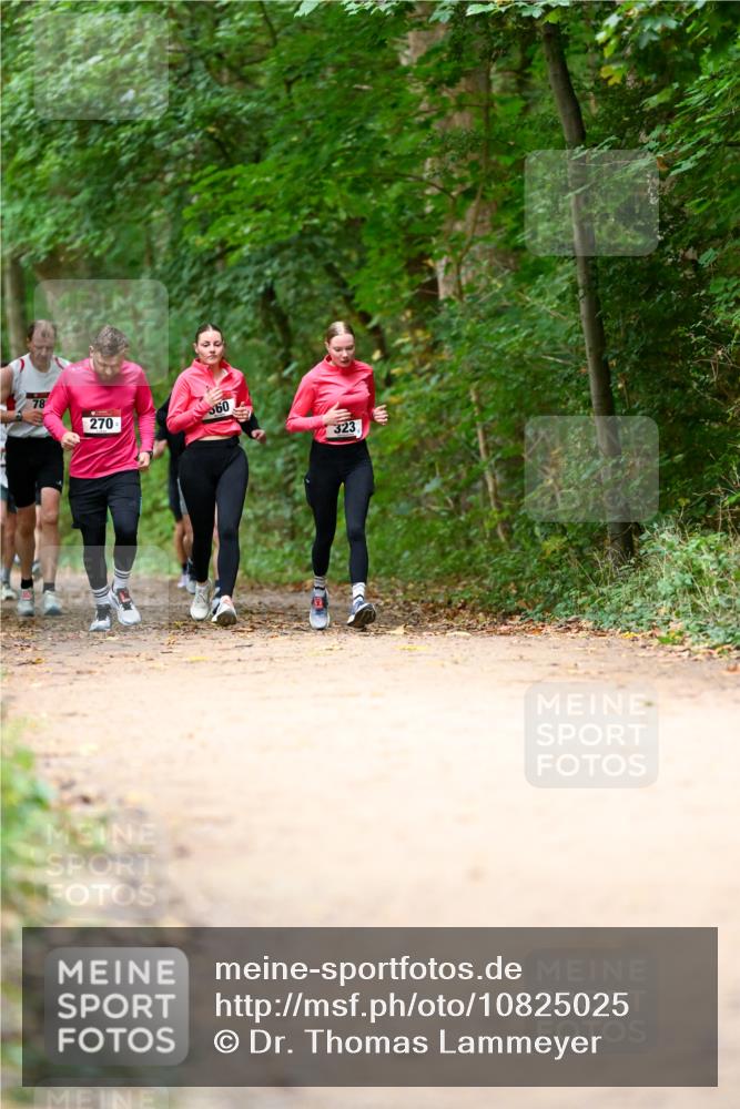 11.10.2026 - Bramfelder Halbmarathon 2026 Dr. Thomas Lammeyer http://msf.ph/oto/10825025 11.10.2026 10:47:14 Laufen 78, 270, 560, 323 meine-sportfotos.de