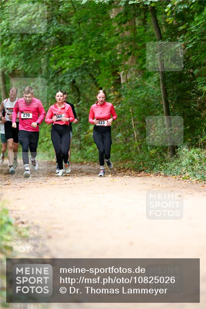 11.10.2026 - Bramfelder Halbmarathon 2026 Dr. Thomas Lammeyer http://msf.ph/oto/10825026 11.10.2026 10:47:14 Laufen 788, 270, 360, 323 meine-sportfotos.de